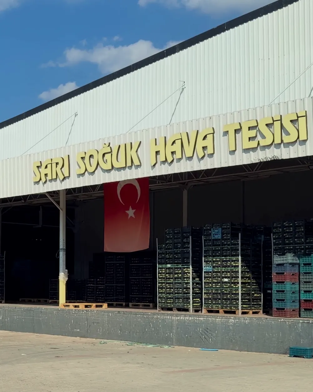 SARI SOĞUK HAVA TESİSİ tabelası ve altındaki yükleme rampasında istiflenmiş meyve kasaları